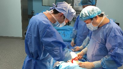 膽囊切除后為什么長期腹瀉？